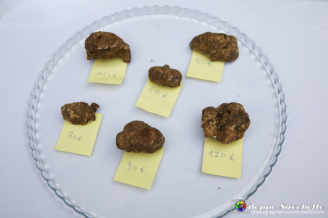 VBS_6545 - Fiera dei Santi - 12.ma Fiera Nazionale del Tartufo.jpg